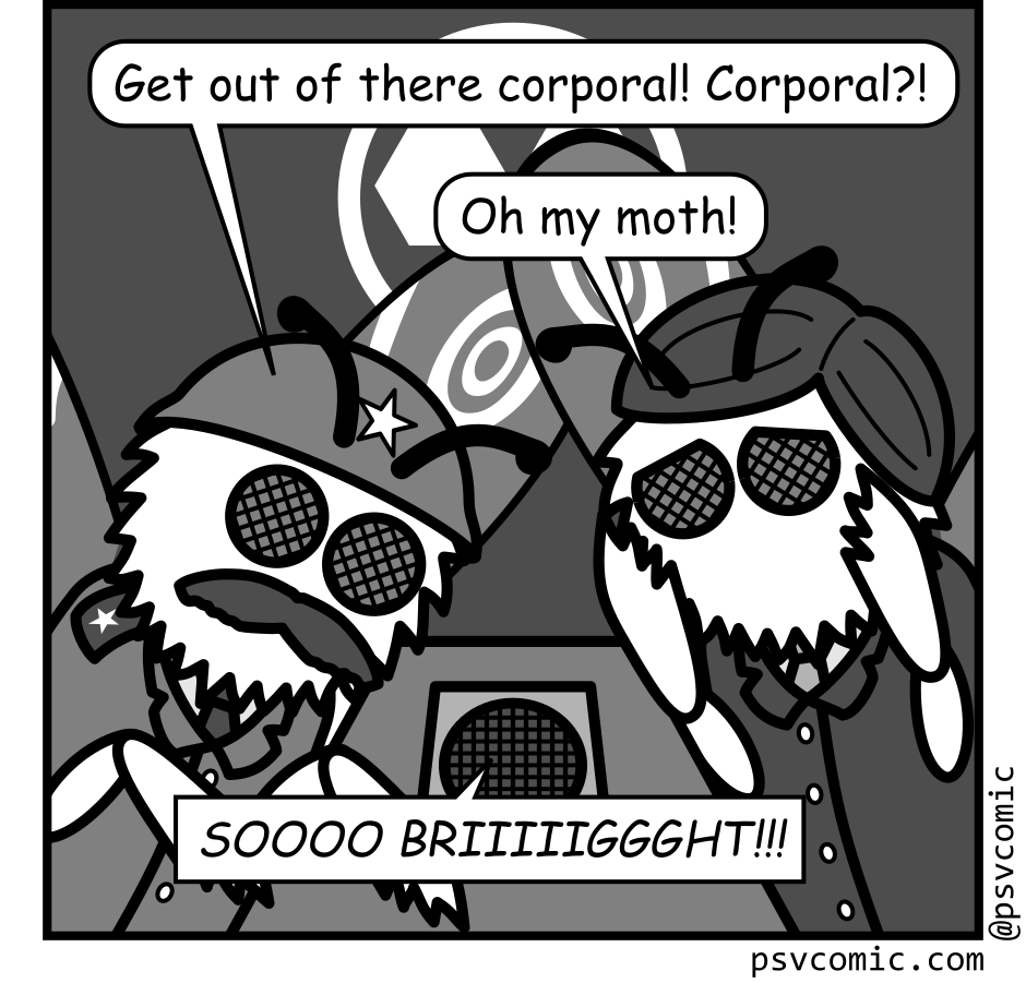 Panel 4